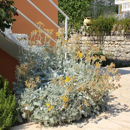 Apartman With Parking Space Slano, Dubrovnik - 3184