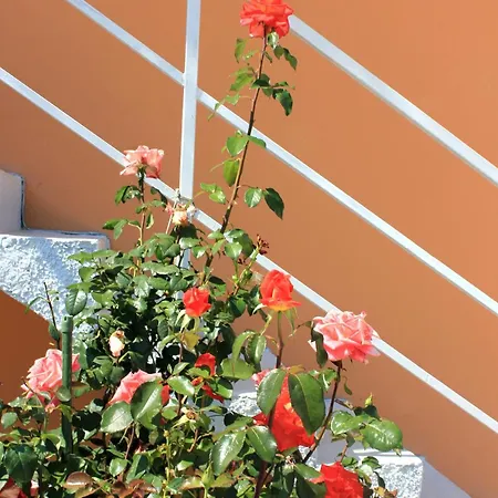 With Parking Space Slano, Dubrovnik - 3184 شقة *