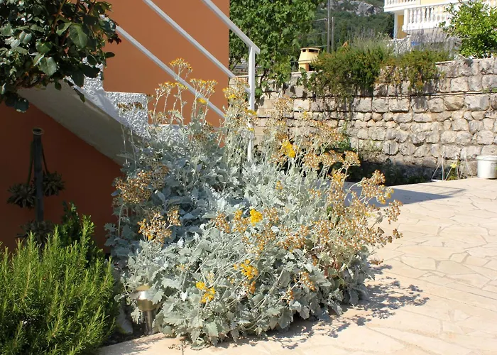 Apartamento With Parking Space Slano, Dubrovnik - 3184