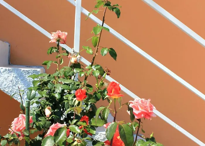 With Parking Space Slano, Dubrovnik - 3184 Appartement *